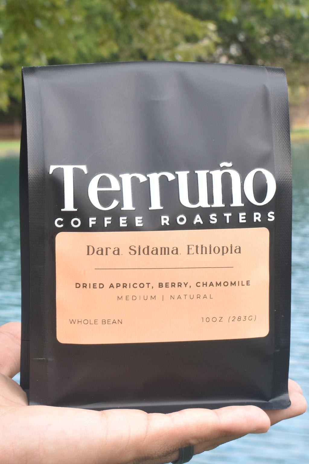 Picture of Dara, Sidama, Ethiopia coffee beans.